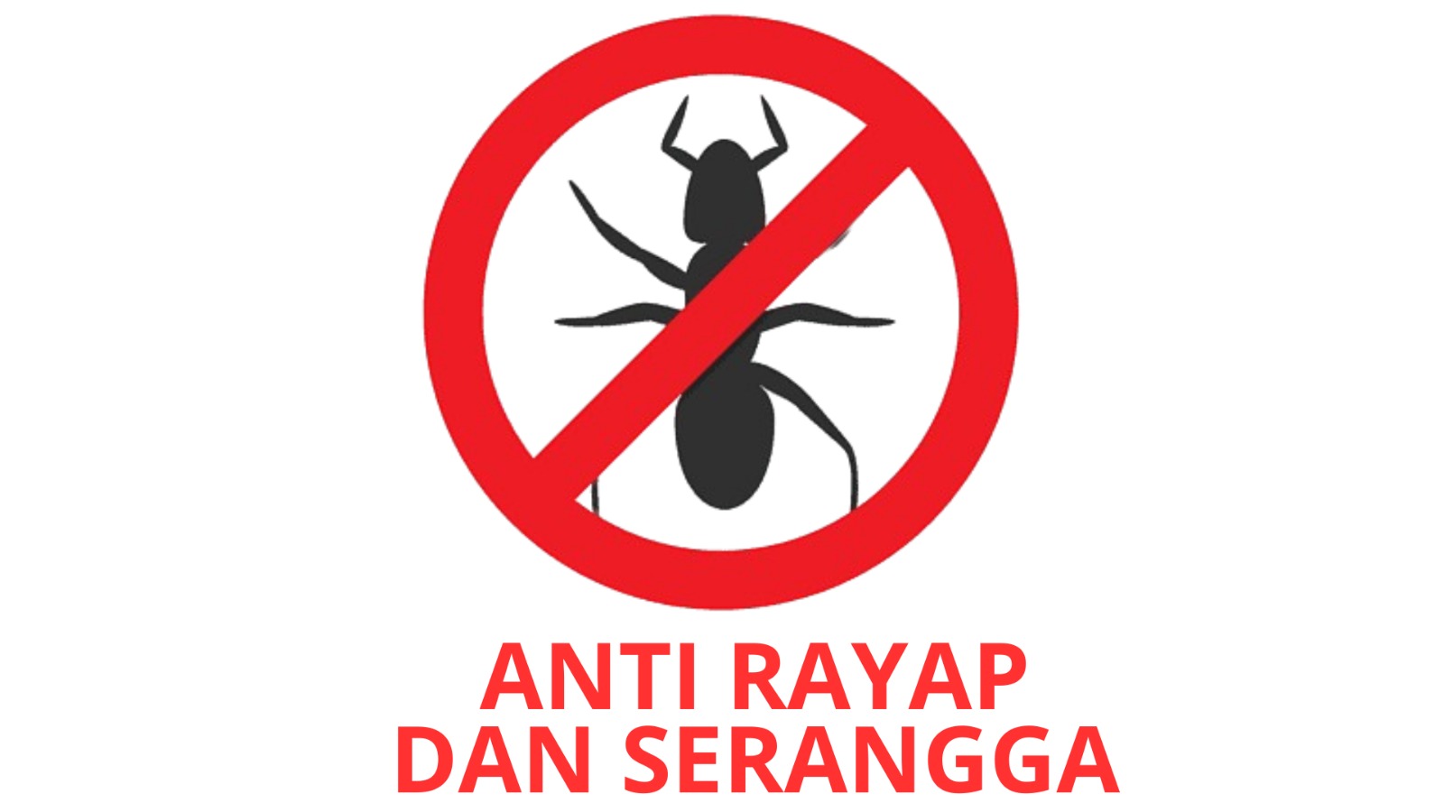 anti rayap dan serangga