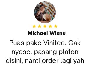 review vinitec - michael wisnu